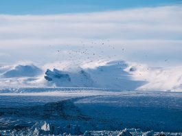 Cambio climático