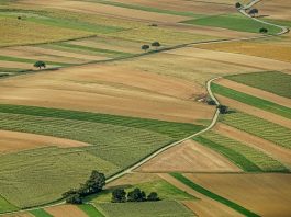 Avances Tecnológicos en la Agricultura