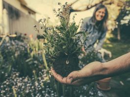 agroecologia la salvacion del planeta