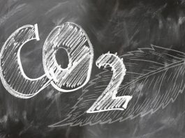 El nivel promedio mensual de CO2 superó las 410 partes por millón (ppm) ¡El nivel más alto en 800.000 años!