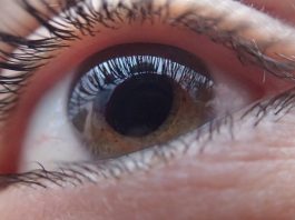 Retina artificial elaborada con tintas orgánicas para personas invidentes 