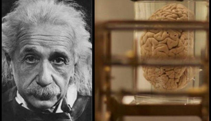 Einstein y la clave de su inteligencia