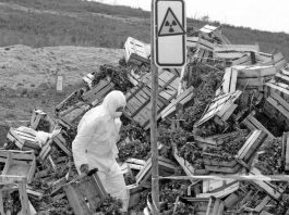 Accidente de Chernóbil, uno de los más graves de la historia nuclear