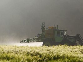 Pesticidas que afectan a las abejas