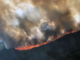 cambio climático efectos en Alaska