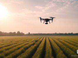 Ventajas de los drones en la agricultura