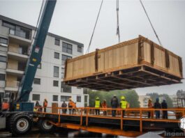 Grúas Elevadoras para Mudanzas